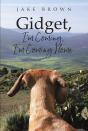 Gidget, I'M Coming, I'M Coming Home - Preview