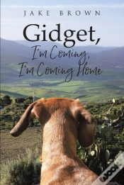 Capa do artigo Gidget, I