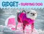 Gidget The Surfing Dog - Preview