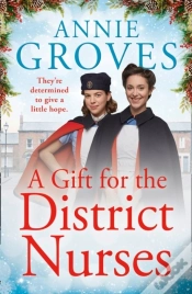 Capa do artigo Gift For The District Nurses