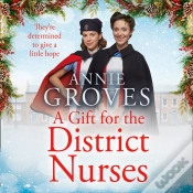 Capa do artigo Gift For The District Nurses