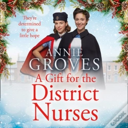 Capa do artigo Gift For The District Nurses