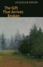 Gift That Arrives Broken - Preview