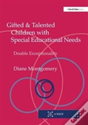 Capa do artigo Gifted And Talented Children With Special Educational Needs