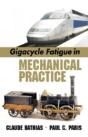 Gigacycle Fatigue In Mechanical Practice - Preview