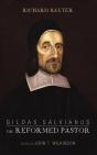 Gildas Salvianus - Preview