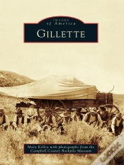 Capa do artigo Gillette