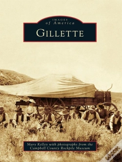 Capa do artigo Gillette
