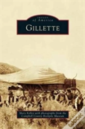 Capa do artigo Gillette