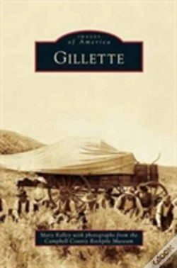 Capa do artigo Gillette