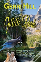Capa do artigo Gillette Park