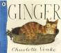 Ginger - Preview