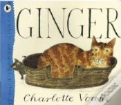 Capa do artigo Ginger