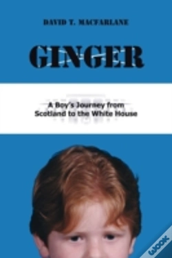 Capa do artigo Ginger