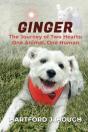 Ginger - Preview