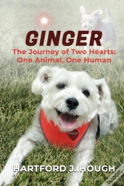 Capa do artigo Ginger