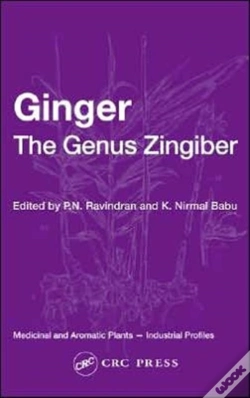 Capa do artigo Ginger