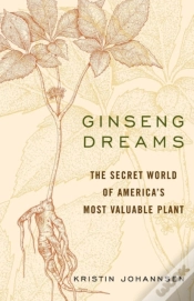 Capa do artigo Ginseng Dreams