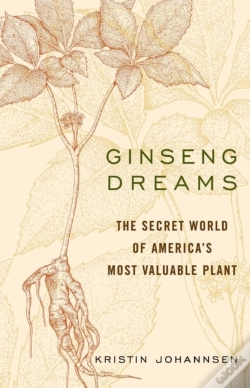 Capa do artigo Ginseng Dreams
