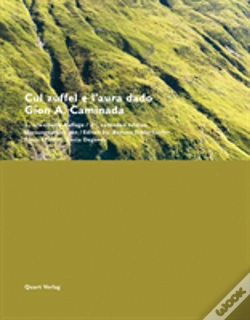 Capa do artigo Gion A. Caminada