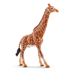 Capa do artigo Girafa Macho Schleich Wild Life 14749