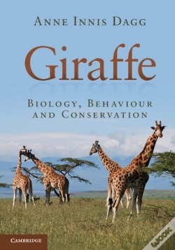 Capa do artigo Giraffe