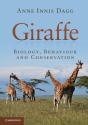 Giraffe - Preview