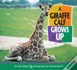 Capa do artigo Giraffe Calf Grows Up