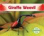 Giraffe Weevil - Preview