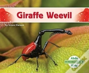Capa do artigo Giraffe Weevil