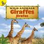 Giraffes - Preview
