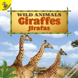 Capa do artigo Giraffes
