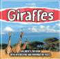 Giraffes - Preview