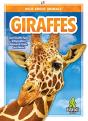 Giraffes - Preview
