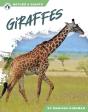 Giraffes - Preview
