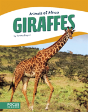 Giraffes - Preview