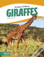 Giraffes