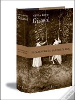 Capa do artigo Girasol