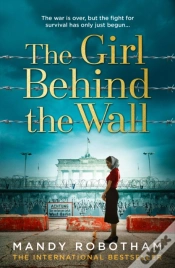 Capa do artigo Girl Behind The Wall