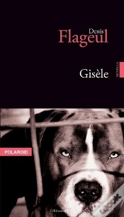 Capa do artigo Gisèle