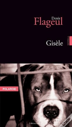 Capa do artigo Gisèle