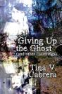 Giving Up The Ghost - Preview