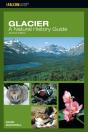 Glacier - Preview
