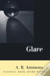 Capa do artigo Glare