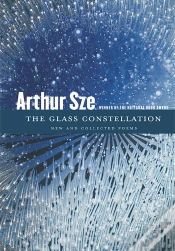 Capa do artigo Glass Constellation