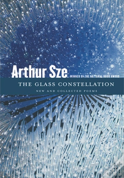 Capa do artigo Glass Constellation
