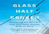 Glass Half-Broken