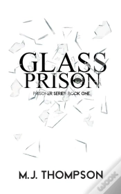 Capa do artigo Glass Prison