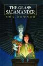 Glass Salamander - Preview