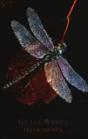 Glass Wings - Preview